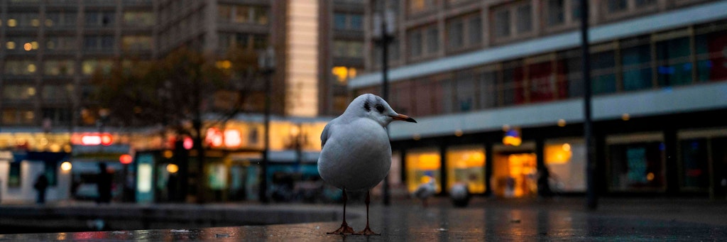 Leere am Alexanderplatz. 