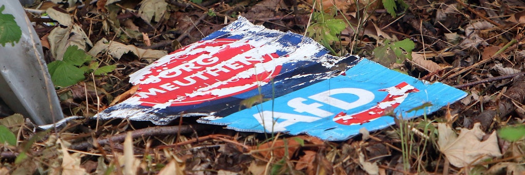 Wahlplakat der AfD. Die Partei verliert an Vertrauen. 
