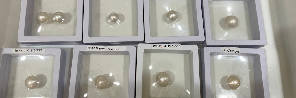 Ung-Perlen im Geschäft von Kriangsak Ung in Ao Yon im Süden von Phuket: Die dickste Perle hier (u. re.) hat einen stattlichen Durchmesser von 16,2 Millimetern und kostet 120.000 Baht (3100 Euro). 