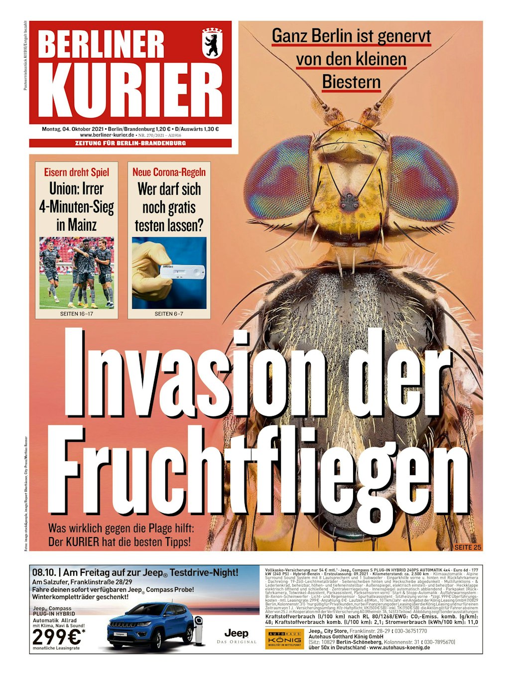 So titelte der KURIER zum Thema Fruchtfliegen - das Foto des Insekts begeisterte die Redaktion.