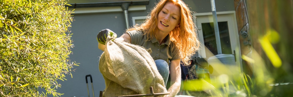 Frostempfindliche Pflanzen, die im Garten eingewachsen sind, können in Vlies einpackt werden. Zusätzlich hilft es, eine Mulchschicht auf dem Boden zu verteilen.