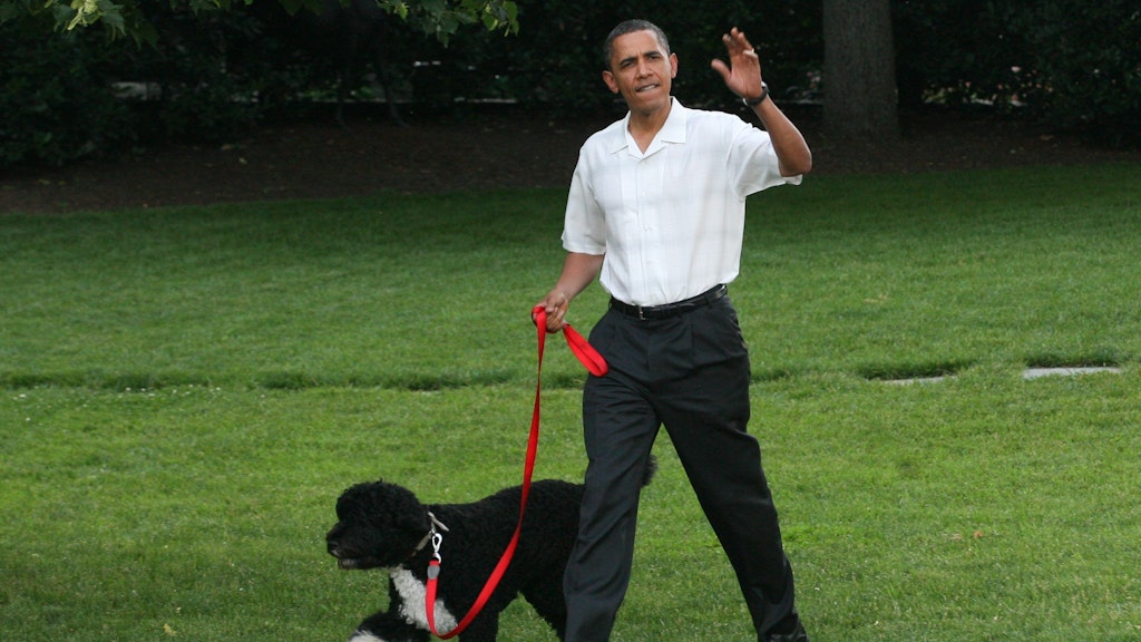 Das damalige US-Präsident Barack Obama geht mit Hund Bo über eine Wiese am Weißen Haus.