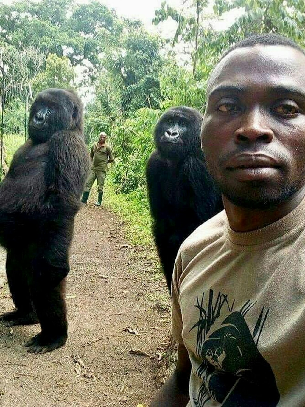 Mathieu Shamavu, Ranger und Pfleger im Senkwekwe Center for Orphaned Mountain Gorillas, posiert für ein Foto mit den verwaisten Gorillaweibchen Ndakasi (l.) und Ndeze im Senkwekwe Center for Orphaned Mountain Gorillas im Virunga-Nationalpark. 