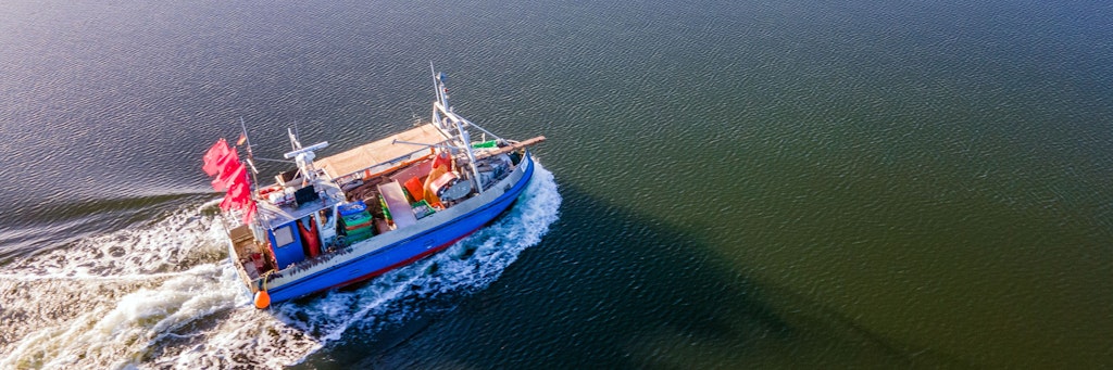 Der Kutter „Seewolf“ steuert nach dem Heringsfang im Greifswalder Bodden den Hafen von Freest an. 2022 wird er weniger fangen dürfen, wenn er überhaupt noch ausläuft. 