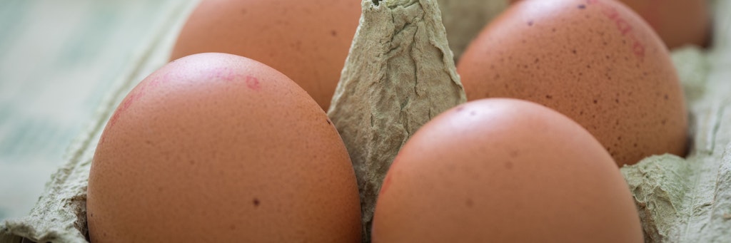 Nach dem Kauf sollten Eier direkt in den Kühlschrank – allerdings nicht in die Türfächer. Dort kann es Temperaturschwankungen geben.