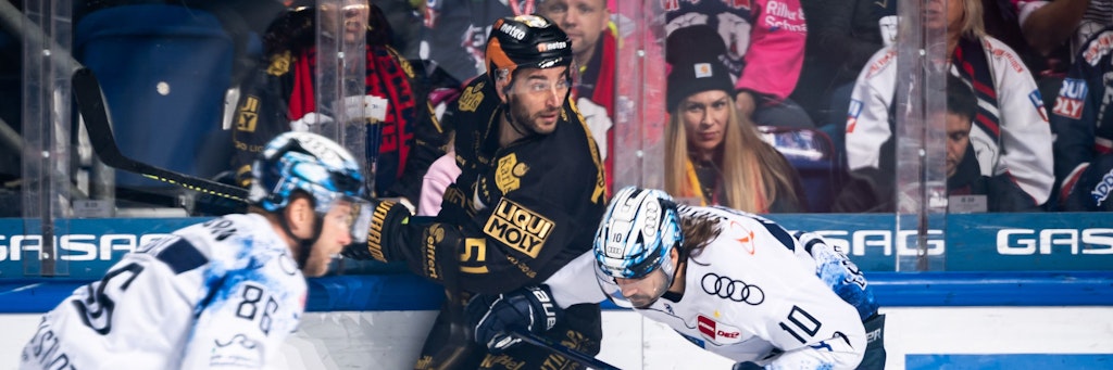 So macht man das mit 949 NHL-Spielen auf dem Buckel: Neu-Eisbär Frans Nielsen guckt die wilde Attacke von Ingolstadts Mirko Höfflin einfach weg ...