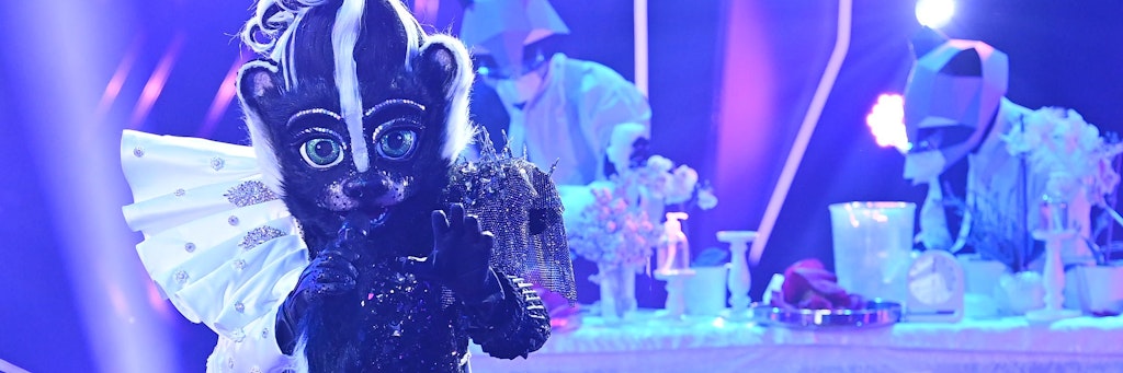 Das Stinktier sang bei „The Masked Singer“ den 80er-Hit „I like Chopin“ von Gazebo.