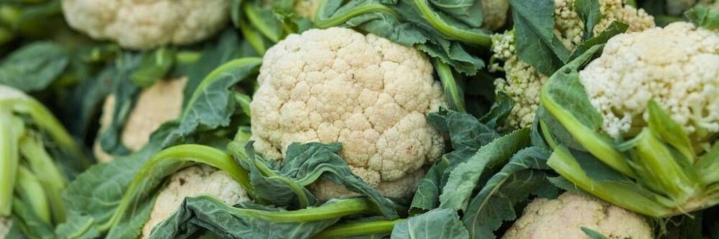 Blumenkohl ist nicht nur total lecker, sondern auch gesund.