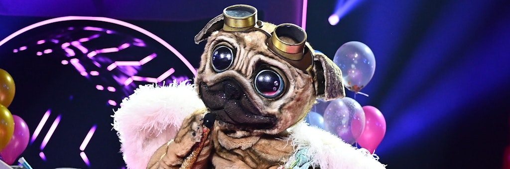 Der Mops beim Auftritt in der aktuellsten Folge von „The Masked Singer“. Aber: Welcher Star steckt im Kostüm?