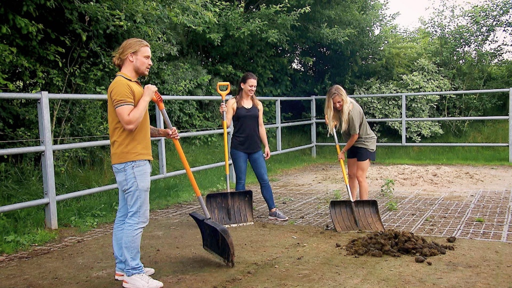 Bei Björn, Dani und Kathrin gibt es wenig Zweisamkeit in der „Bauer sucht Frau “-Hofwoche.
