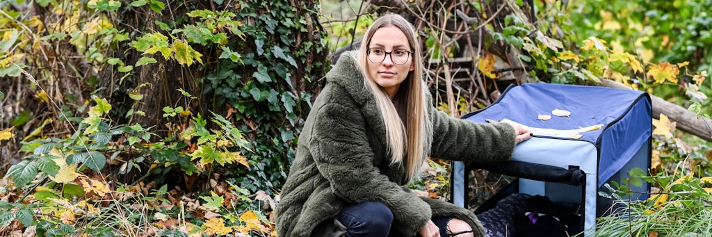 Hundehalterin Friederike Brandts sucht nach ihrem vermissten Hund Oskar. Der Jack Russell ist am 09. September zunächst gestohlen worden und dabei dann entlaufen. Bisher fehlt von ihm jede Spur. Es ist ein Finderlohn von 5000 Euro ausgesetzt. 