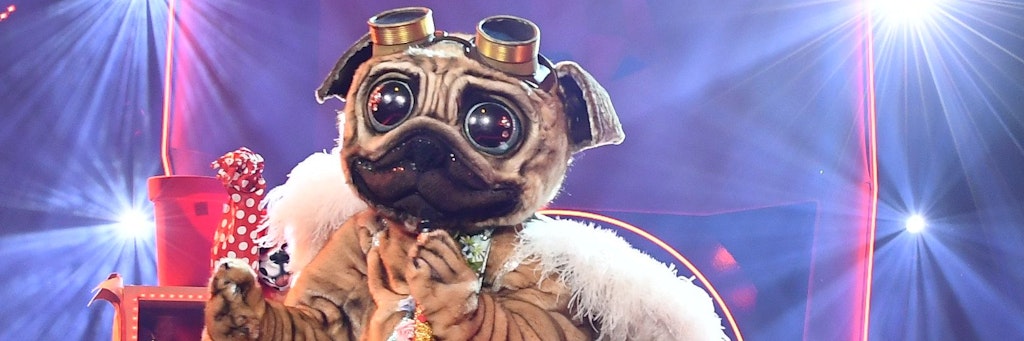 Fake Vorwürfe Bei „masked Singer“ Krasse Theorie Beim Mops Steckt Sie