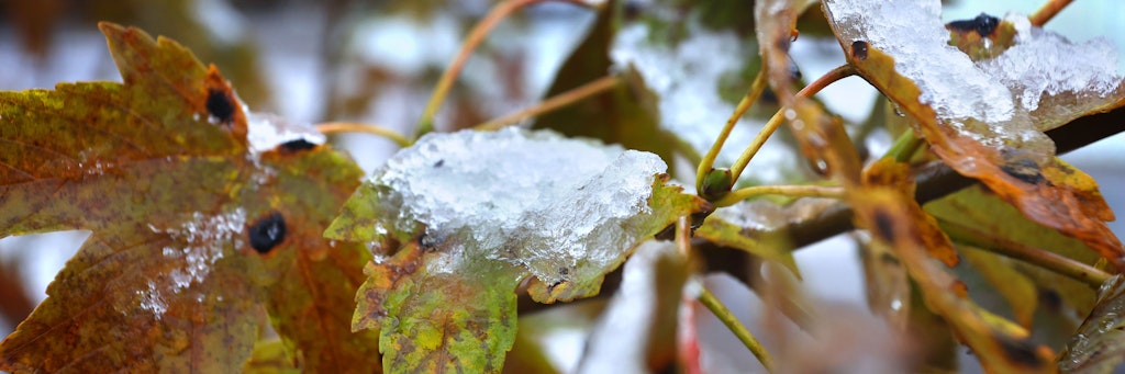 In dieser Woche ist noch kein Frost in Sicht. Aber dann könnte auch schon ganz schnell der Winter kommen.