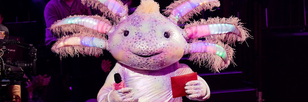 Das Axolotl flog im Halbfinale aus der Show - doch unter den Fans von „The Masked Singer“ wird nun heftig diskutiert.