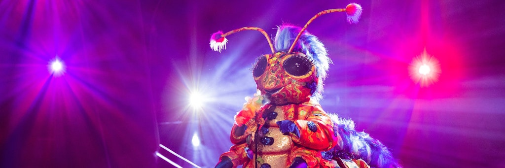Kleine Raupe, große Stimme: Bei „The Masked Singer“ gehört die Raupe Resi zu den Favoriten. Aber wer steckt wirklich unter dem Kostüm?