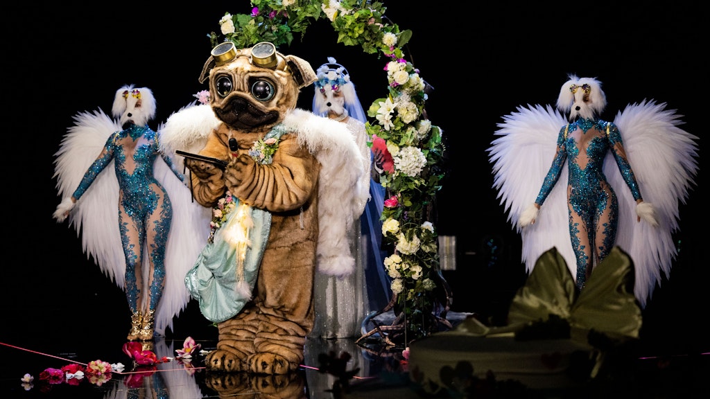 Der Mops von „The Masked Singer“ bei einem seiner Auftritte in der Kostüm-Show.