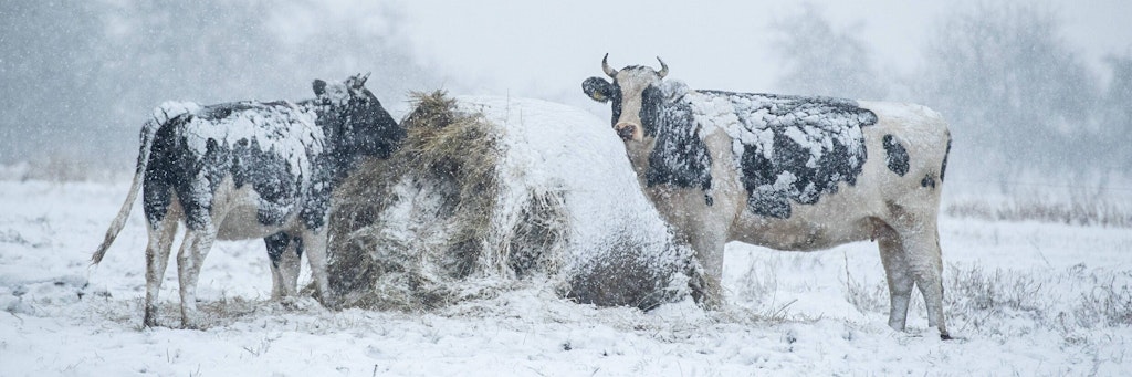 Im Bergland könnte zum 1. Advent schon mal der Wintergrüßen.