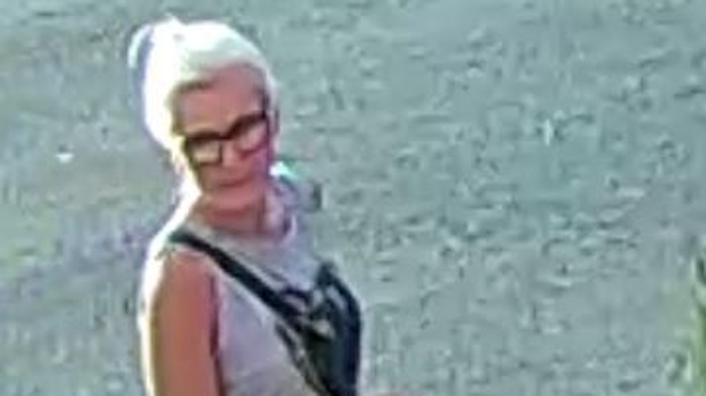 Von allen drei Verdächtigen ist die Frau am besten zu erkennen.