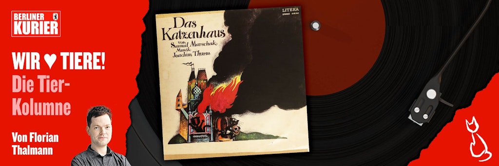 Das alte DDR-Hörspiel "Das Katzenhaus" ist ein echter Schatz auf Vinyl.