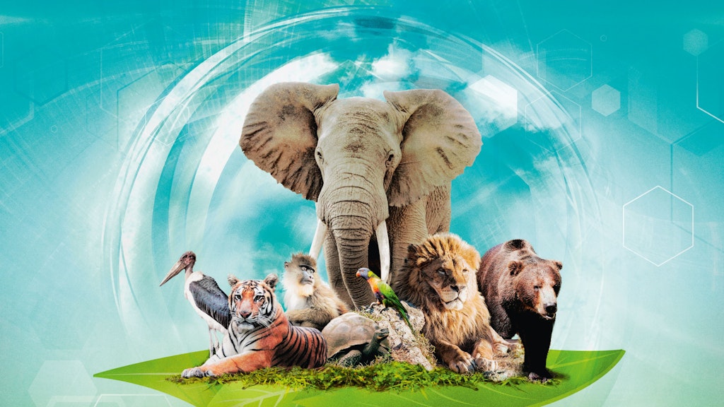 Für Experten: Bei „Arche Nova“ geht es nicht nur darum, einen Zoo aufzubauen, sondern auch möglichst viele Artenschutzprojekte zu unterstützen. 