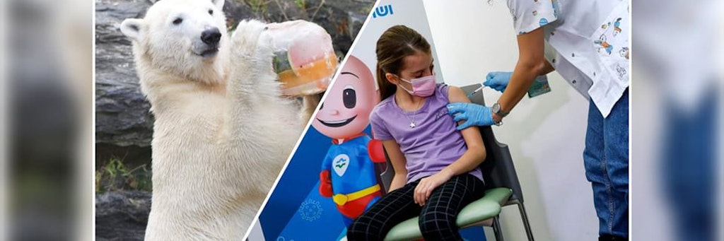 Ab Mitte Dezember soll es möglich sein, Kinder zwischen fünf und elf Jahren gegen Corona zu impfen. Das soll in Berlin dann auch in Zoo und Co. möglich sein.
