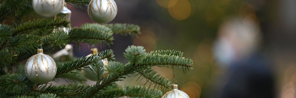 Die Wahl des richtigen Weihnachtsbaums will gründlich durchdacht sein.