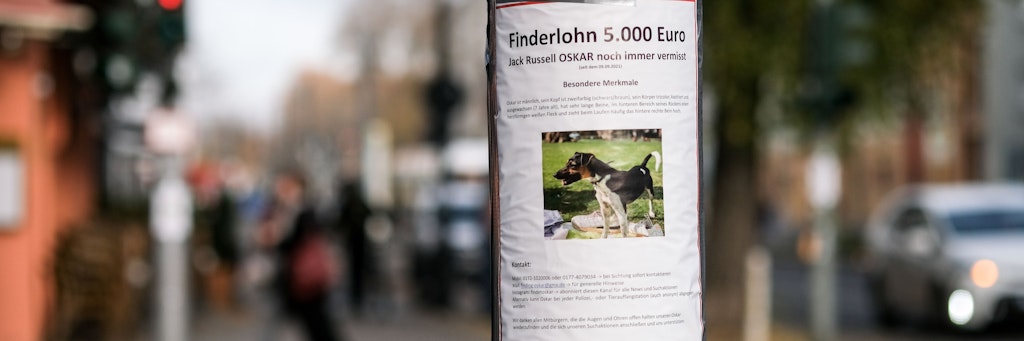 Auf einem Zettel an einem Laternenpfahl in Prenzlauer Berg wird mit einem Finderlohn nach dem vermissten Hund Oskar gesucht. Fast drei Monate nach dem Verschwinden von Jack Russell Terrier Oskar wollen die Besitzer die Suche noch einmal verstärken.