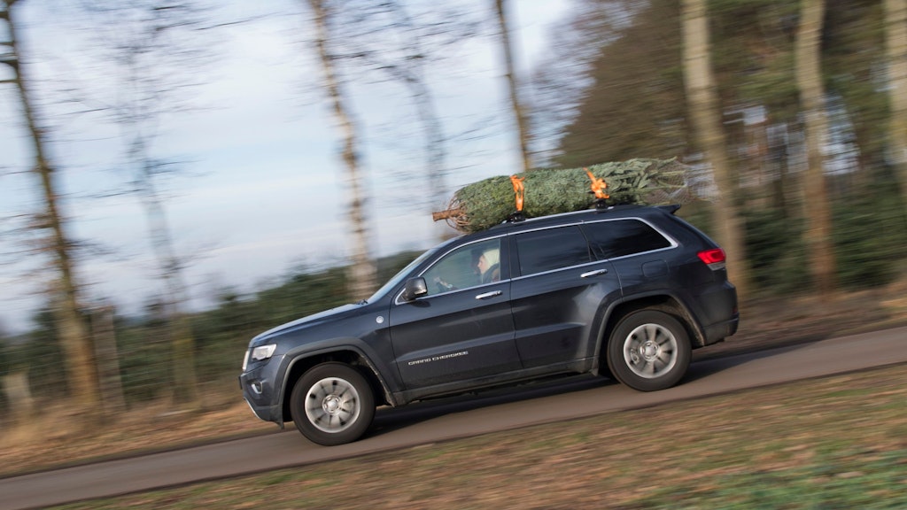 Stamm voran: So kommt der fest verschnürte Weihnachtsbaum auf dem Autodach sicher heim.