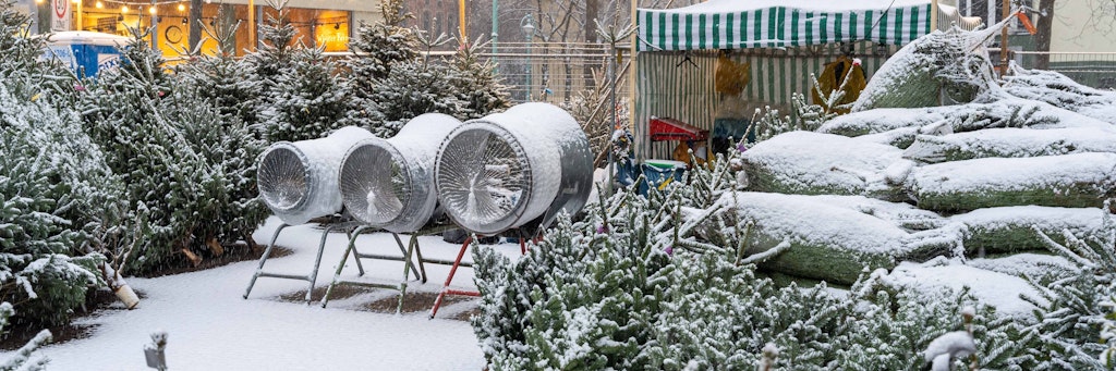 Leise rieselt der Schnee: Weihnachtsbaumverkauf am Kudamm.