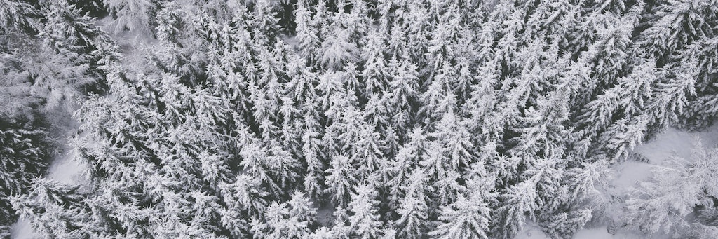 Schneebedeckte Landschaften gibt es derzeit nur in Hochlagen.