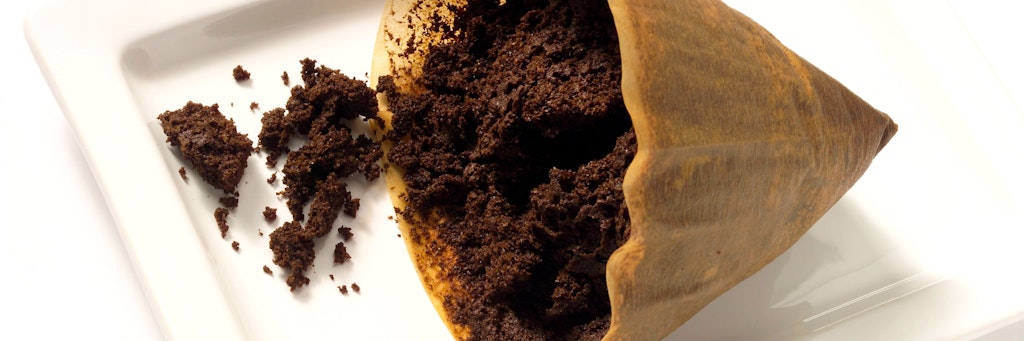 Bitte nicht wegschmeißen! Kaffeesatz ist ein richtig wertvoller Pflanzen-Dünger.