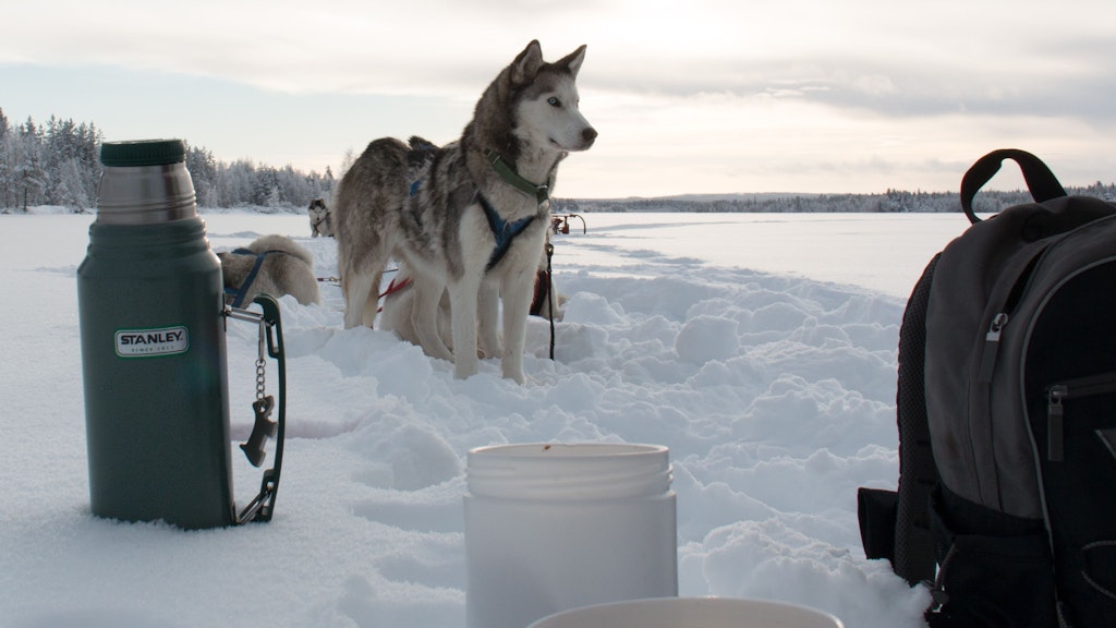 Ganz so eisig wie bei den Touren nach Lappland wird es in Berlin wohl nicht. 