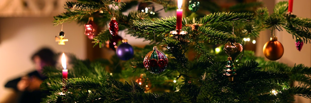 Wenn die Kerzen abgebrannt sind, muss der Weihnachtsbaum irgendwann auch wieder entsorgt werden.