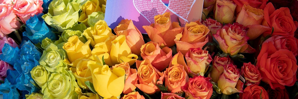 Blumen in den Farben des Regenbogens, aufgenommen während einer Aktion für die Ehe für Alle auf dem Bärenplatz. <br>Ab dem 1. Juli 2022 können gleichgeschlechtliche Paare auch in der Schweiz heiraten oder ihre eingetragene Partnerschaft in eine Ehe umwandeln. 