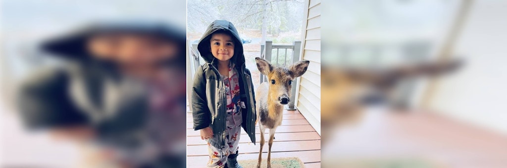 Der kleine Reh-Flüsterer: Dominic Brown mit seinem tierischen Freund.