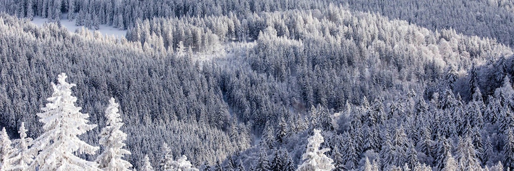 Das Unglück ereignete sich in der Feldberg-Region. 