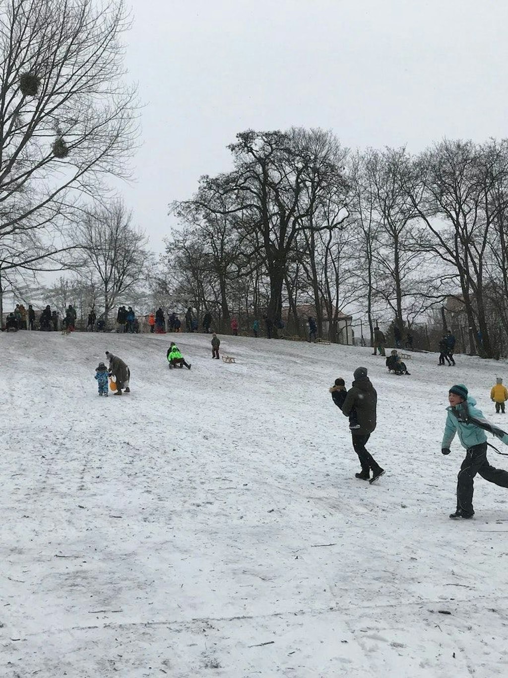 Selbst als noch ganz wenig Schnee lag und viel gerodelt wurde, war deutlich mehr Schnee auf dem Hügel.