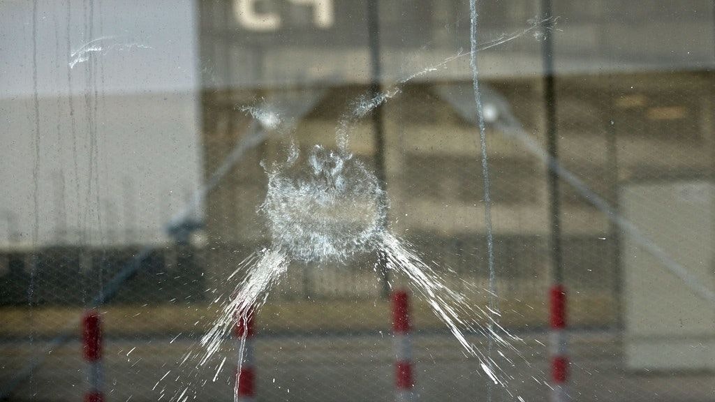 Eine Anprallspur: An dieser Stelle ist ein Vogel gegen die Scheibe geflogen.
