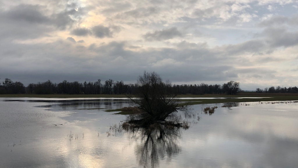 Ein Land aus Wasser und Licht: der Nationalpark an der Oder.<br>