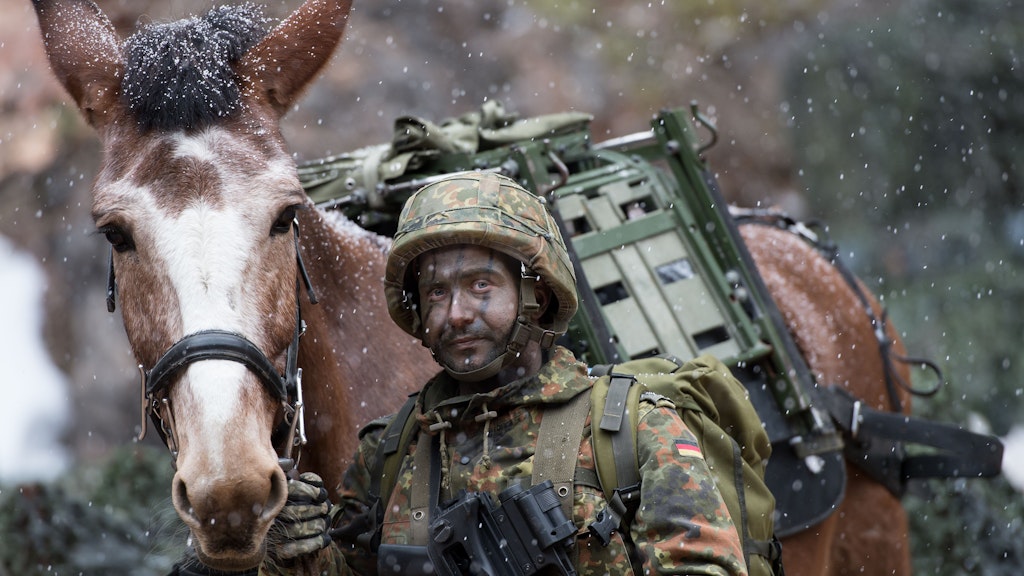 Besonders widerstandsfähig, trittsicher und genügsam: Die Maultiere der Hochstaufen-Kaserne sind jederzeit einsatzbereit. 