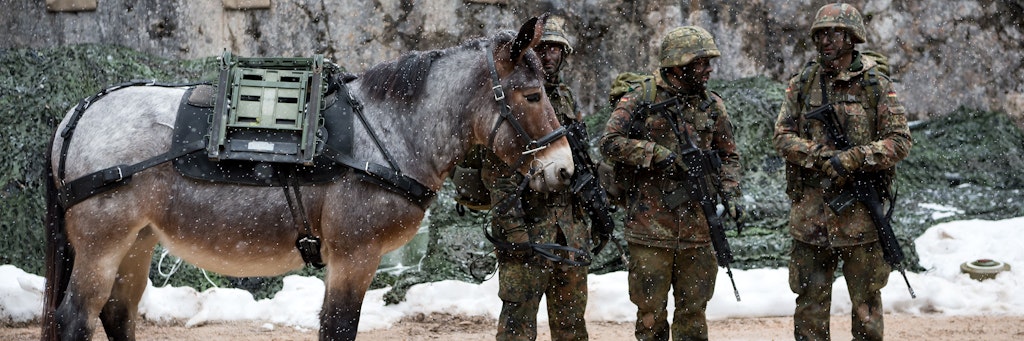 Soldaten vom Gebirgsjägerbataillon 23 laufen bei einer Übung mit einem Muli über den Übungsplatz.