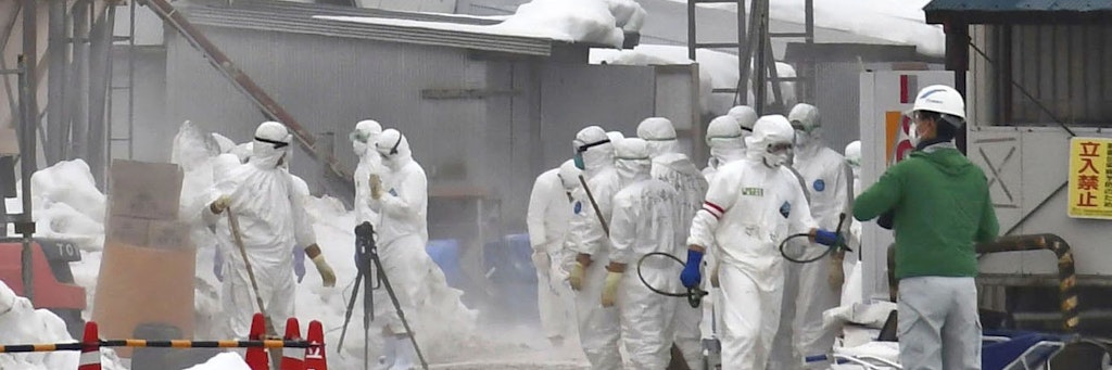Weltweit wird die Geflügelpest auf Tierfarmen bekämpft. Jetzt sprang das Virus weltweit erstmals auf den Menschen über.