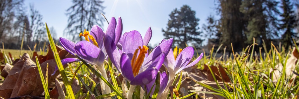 Mitte Februar bei frühlingshaften Temperaturen und Sonne satt.