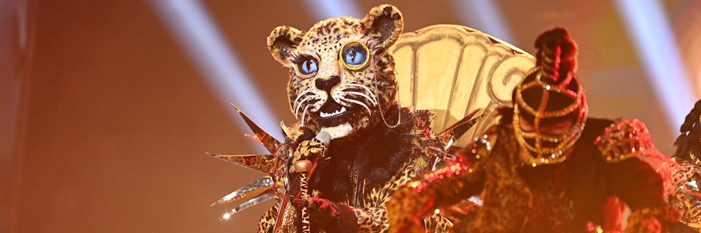 Überzeugte bei „The Masked Singer“ mit Wahnsinns-Stimme: der Leopard.
