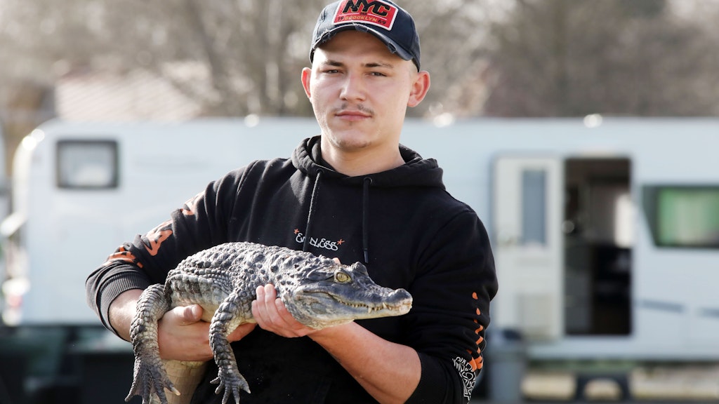 Cintano Köllner (21) kümmert sich um den Brillenkaiman Gustav (10).