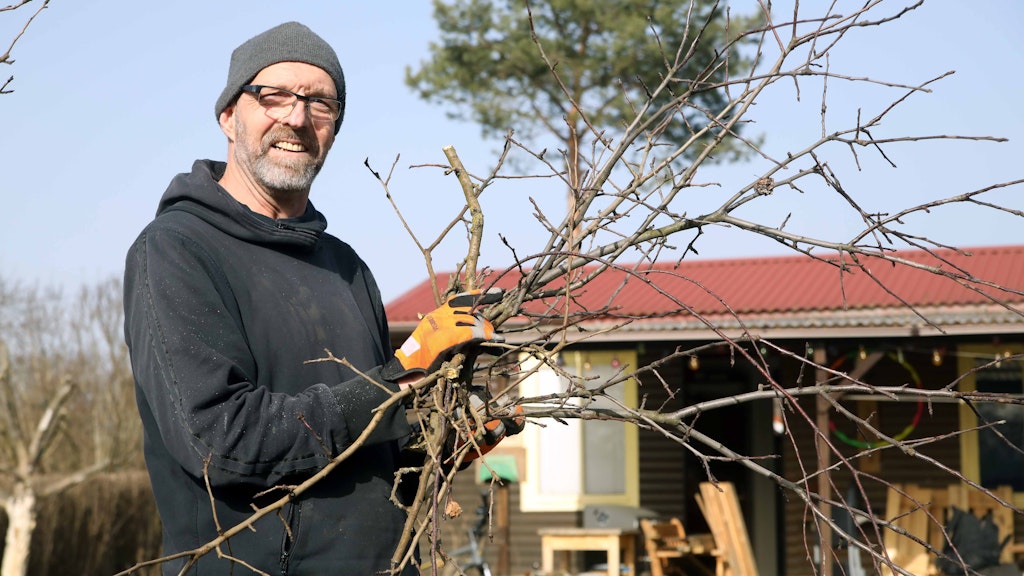 Ron (55) stutzt auf seinem Grundstück in der Kleingartenanlage Wuhlheide-Lichtenberg schon die Bäume.