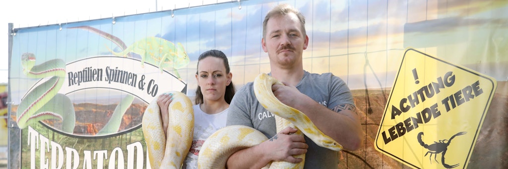 Die Insekten- und Reptilienausstellung „Terratopia“ hat durch die Corona-Krise Existenzprobleme. Die Chefs Nicole Faschingbauer (30) und Ricardo Köllner (33) mit ihrer Tigerpython.