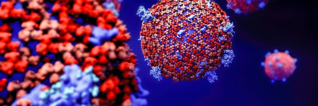 Das Coronavirus.