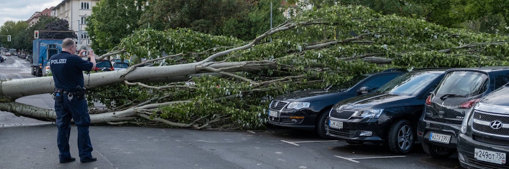 Bei einem Sturm im Juli 2020 stürzten in Berlin Bäume um.