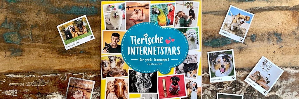 Als Petfluencer unterhalten Katzen und Hunde ebenso wie Vögel oder Igel Millionen sogenannter Follower weltweit. Jetzt bekommen sie ein Sammel-Stickeralbum. 